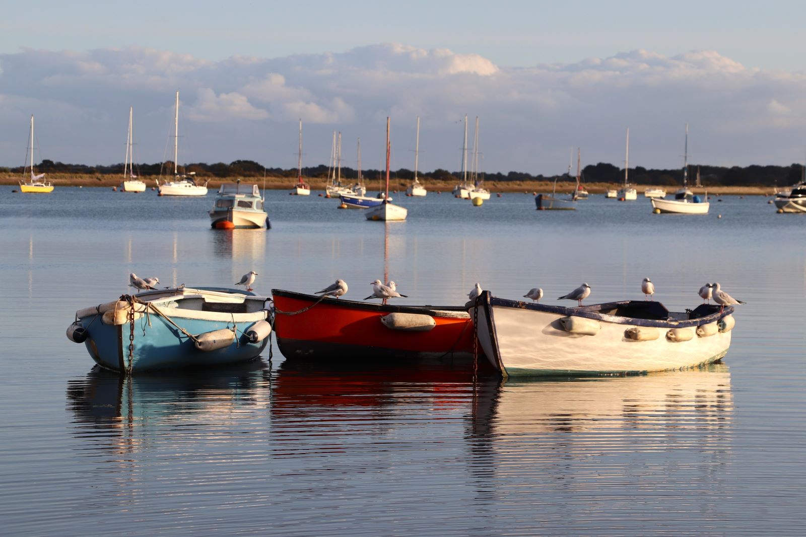 1st Place - Francoise White - Evening Light On Emsworth Harbour