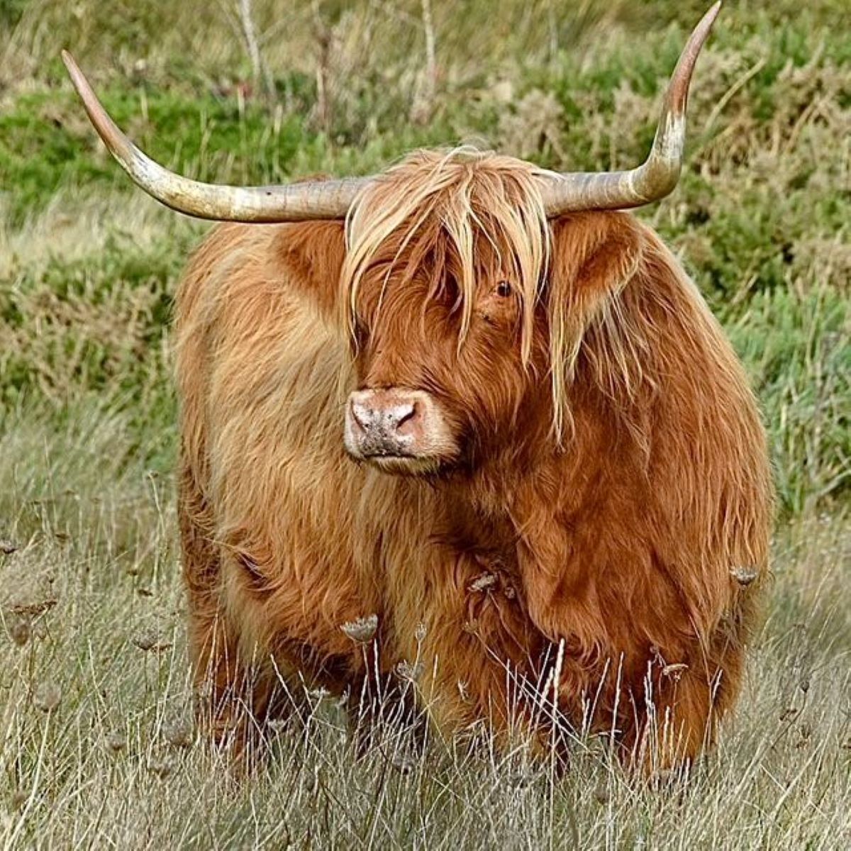 2nd Place - Sue Wakely - Are you looking at me