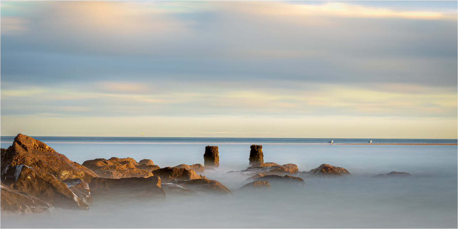 3rd Place - Peter Hickson - Seagulls resting at Low Tides