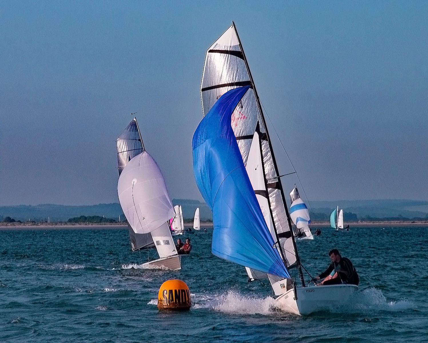1st Place - Paula Mardle - They're after you