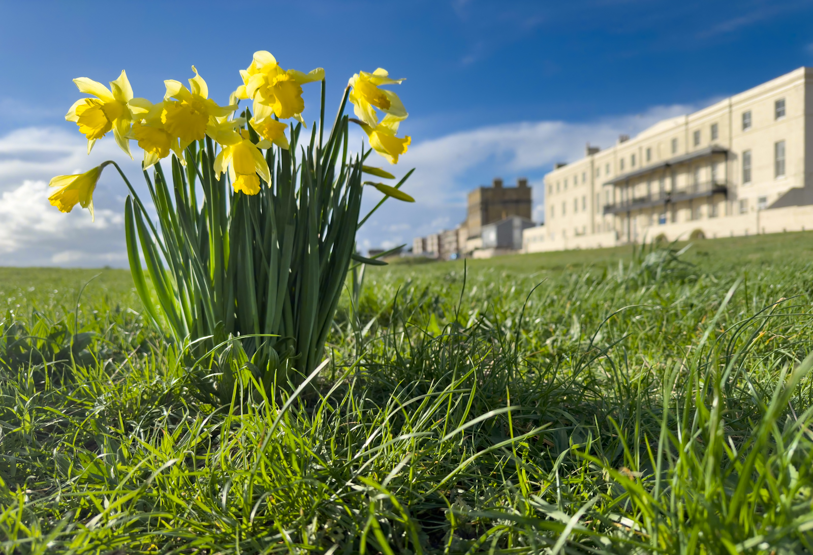 March &dash; Mike Inglis &lsquo;Spring Has Sprung&rsquo;