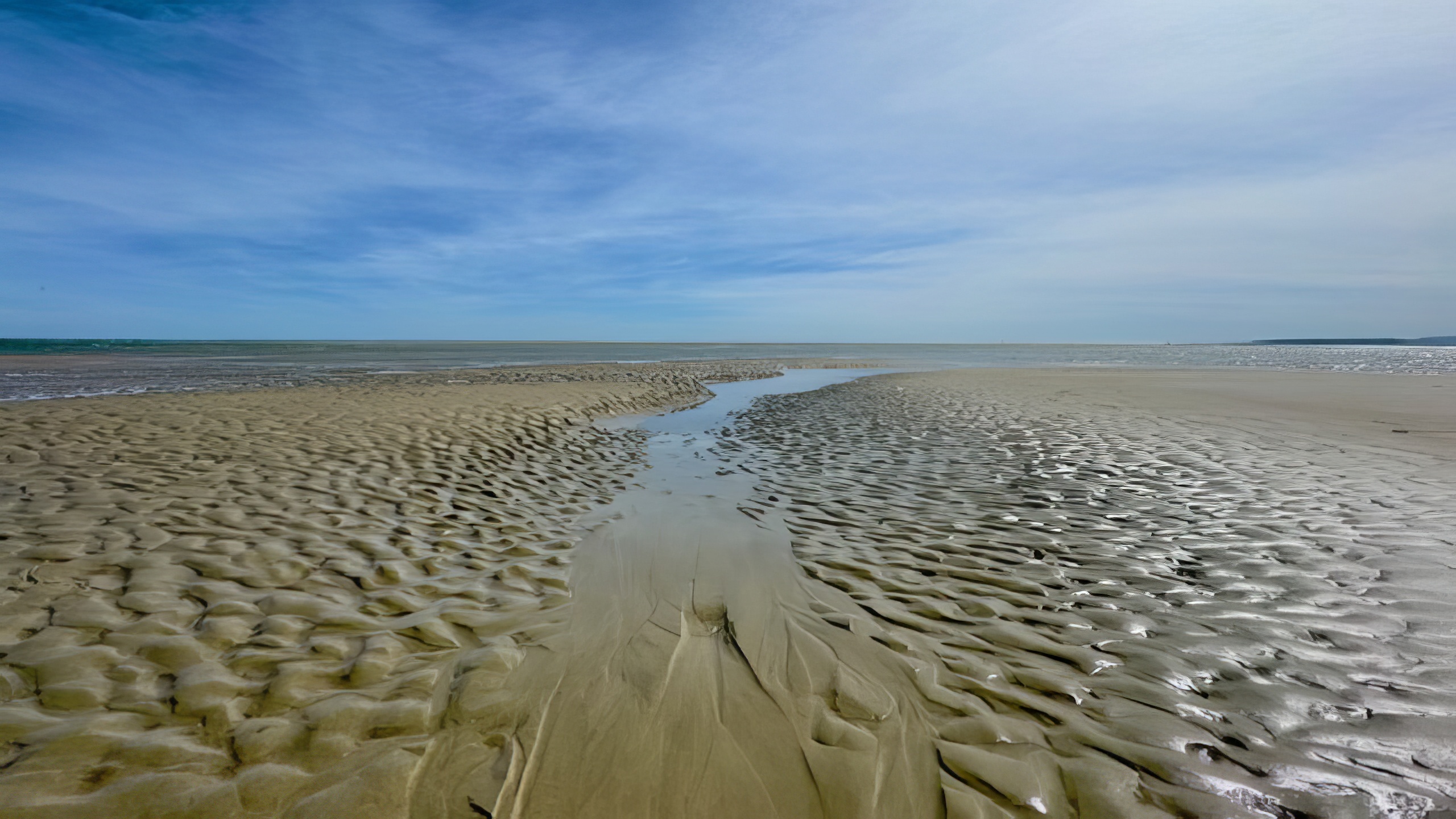 November &dash; Sue Wakeley &lsquo;Low Tide&rsquo;